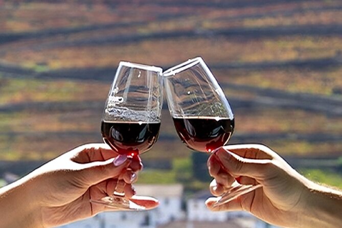 Douro Valley Full Day Tour with River Cruise and Wine Tastings - First views of the Douro terraces