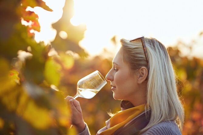 Douro Valley: Historical Sites, Wine Experience, Lunch & Cruise - Walking through a Douro vineyard estate