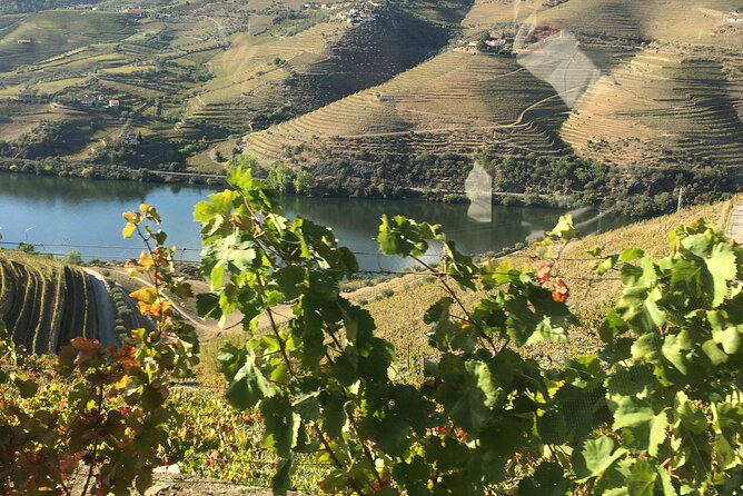 Douro Valley in off road - Private Tour - Why the 4x4 makes this Douro day different