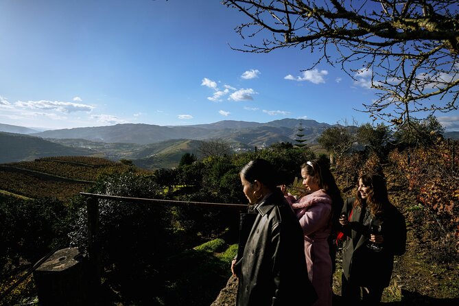 DOURO VALLEY: Lunch in a winery, tastings & 1-h private boat tour - Winery visits with a family feel
