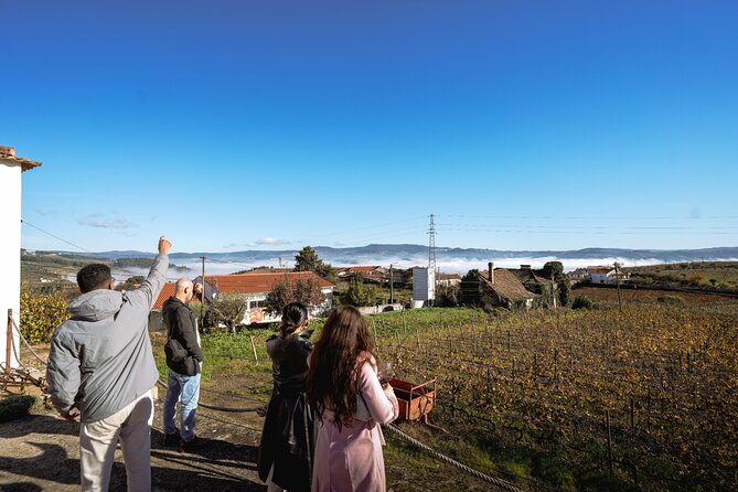 DOURO VALLEY: Lunch in a winery, tastings & 1-h private boat tour - Guides are a major part of the value