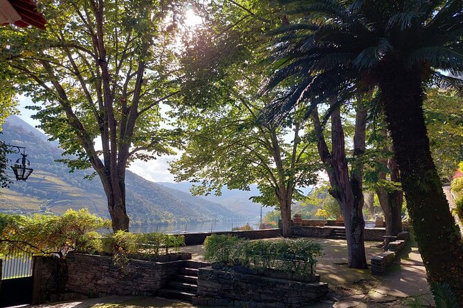 Douro Valley Pinhao Quinta da Foz Tour and Tasting 5 Wines - Tasting five wines with olive oil