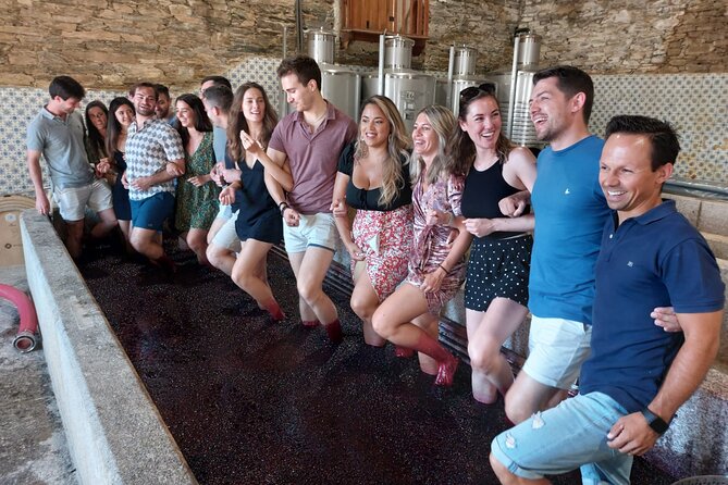 Douro Valley Pinhao Quinta da Foz Tour and Tasting 5 Wines - Walking to the old vines