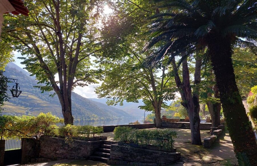 Douro Valley: (Pinhão) Quinta da Foz - Tour&Tasting 5 WINES - Key points to know before you book