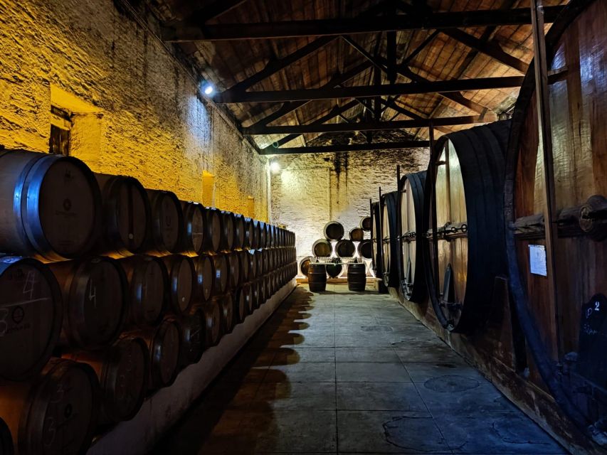 Douro Valley: (Pinhão) Quinta da Foz - Tour&Tasting 5 WINES - Five wines and extra virgin olive oil