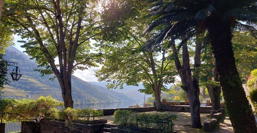 Douro Valley: (Pinhão) Quinta da Foz - Tour&Tasting 5 WINES - Is $41 a fair price?