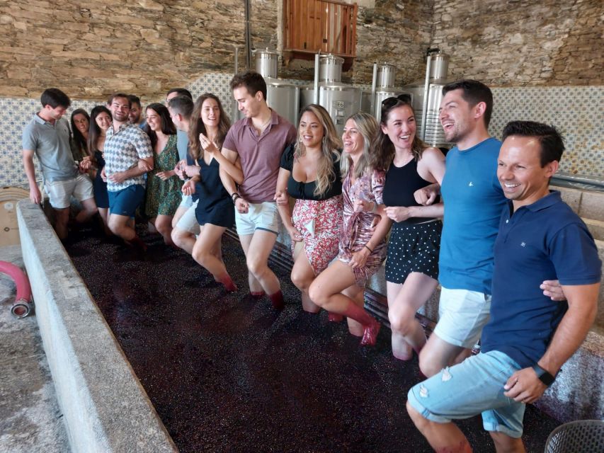 Douro Valley: (Pinhão) Quinta da Foz - Tour&Tasting 5 WINES - From winery floor to traditional cellar