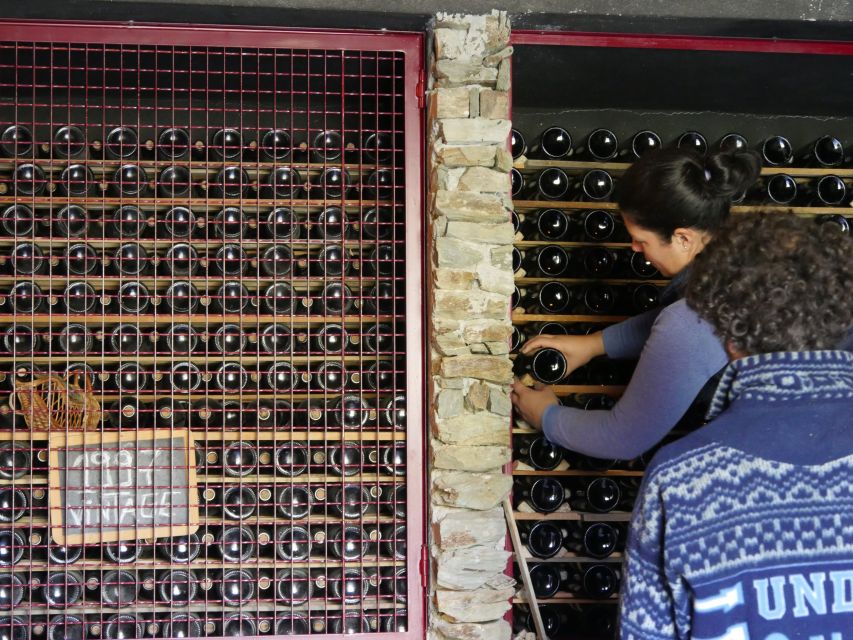 Douro Valley: Premium Port Tasting Winery Tour & River Views - Key points at a glance