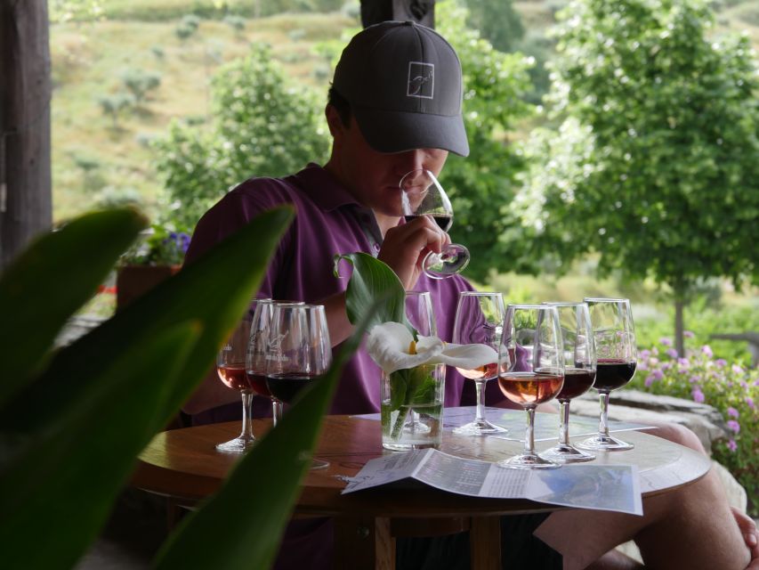Douro Valley: Premium Port Tasting Winery Tour & River Views - A 90-minute introduction to Douro wine