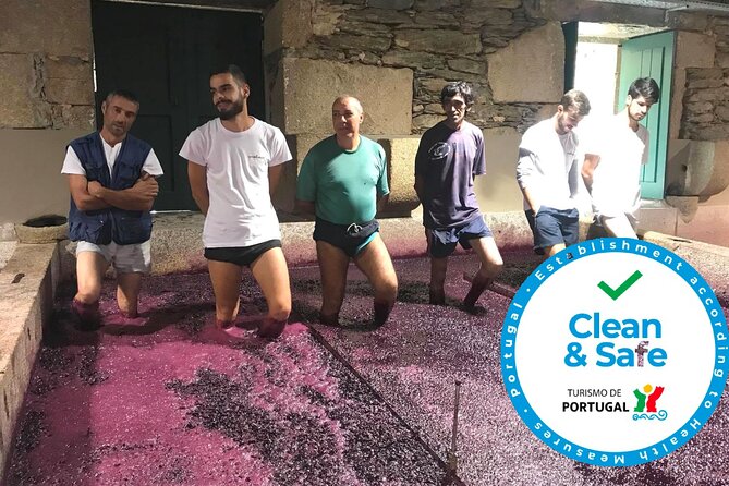 Douro Valley Premium Private - Two winery visits and Douro wine tasting