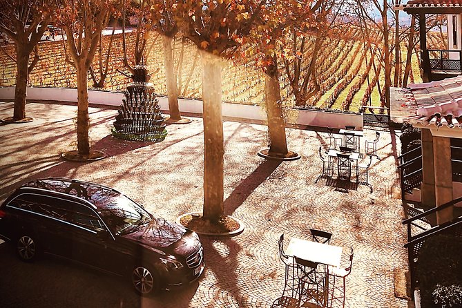 Douro Valley Premium Private - The role of the driver-guide