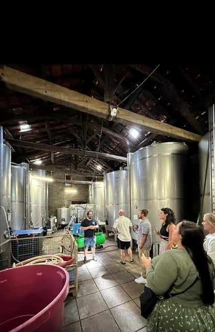 DOURO VALLEY: Premium Wine Tour, Winery Lunch & Private Boat - How the transport and schedule feel
