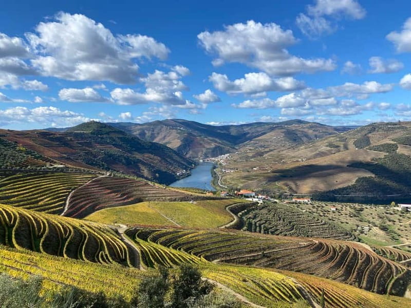DOURO VALLEY: Premium Wine Tour, Winery Lunch & Private Boat - Booking details worth knowing