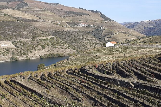 Douro Valley Premium with wine tasting lunch and boat - Starting in Porto at 9:00 a.m.