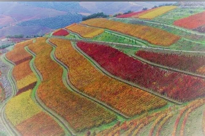 Douro Valley Premium with wine tasting lunch and boat - What the $312.55 price includes in value