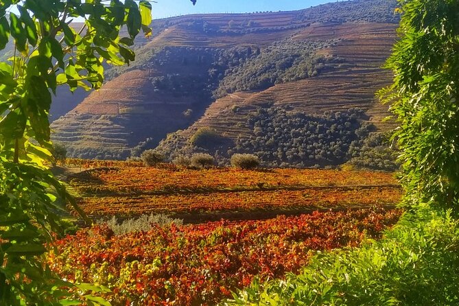 Douro Valley Prime Tour: Wine Tastings, Boat & Lunch from Porto - Why this full-day Douro trip works