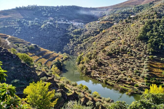 Douro Valley Prime Tour: Wine Tastings, Boat & Lunch from Porto - From Porto to Vinho Verde country and Amarante