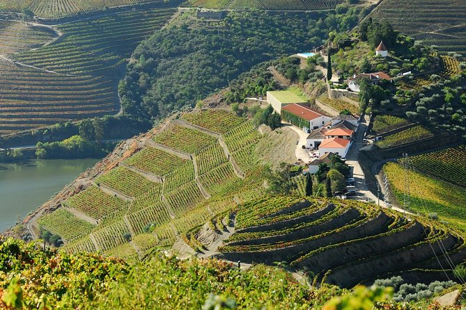 Douro Valley private day tour from Porto - Lunch keeps the day moving
