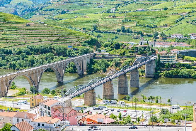 Douro Valley private day tour from Porto - What private really means here
