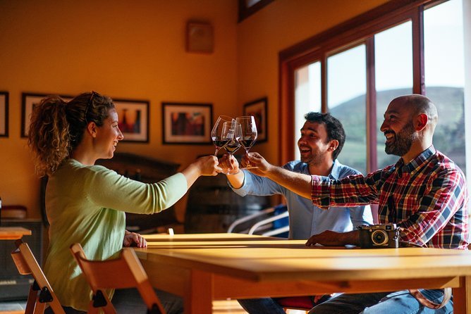 Douro Valley Private Day Trip including Boat Ride & Wine Tasting - Who should book this Douro day trip?