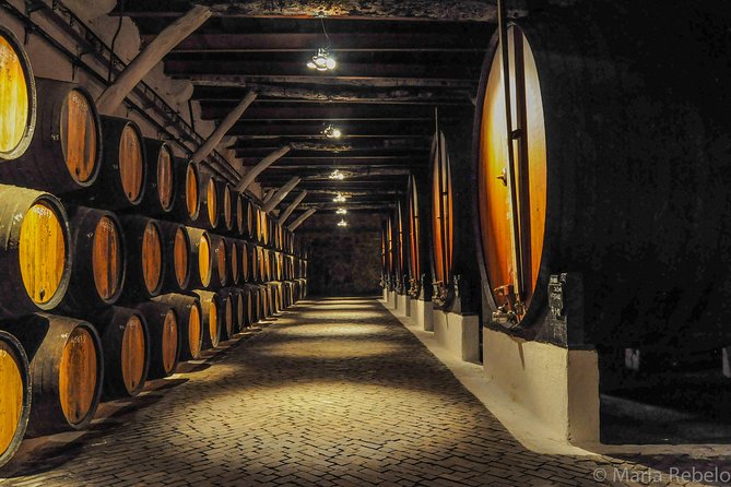 Douro Valley Private Full–Day Tour from Porto - Why the Douro Valley works as a full-day outing