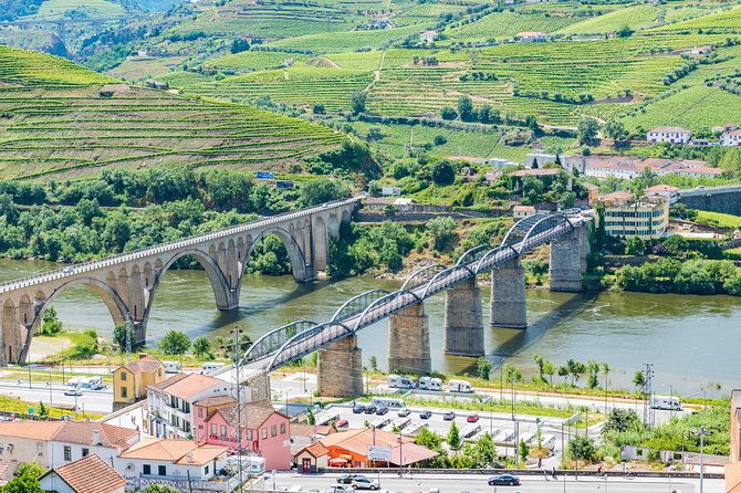 Douro Valley Private Full–Day Tour from Porto - Quinta de São Luís and a second Port tasting