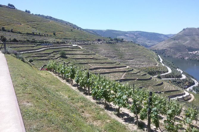 Douro Valley Private Premium Tour with Wine Tasting (1 to 4 people) - What the $636.78 group price really buys