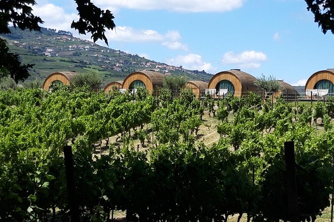 Douro Valley Private Premium Tour with Wine Tasting (1 to 4 people) - Who should book this Douro Valley tour
