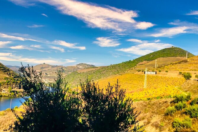 Douro Valley Private Tour: 2 Farms, Lunch & Boat Trip - Key points to know before booking