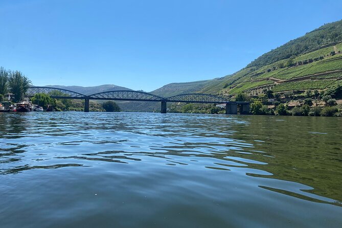 Douro Valley Private Tour: 2 Farms, Lunch & Boat Trip - The second farm, with wine, olive oil, and honey