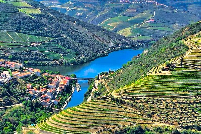Douro Valley Private Tour: 2 Farms, Lunch & Boat Trip - A one-hour cruise on the Douro River