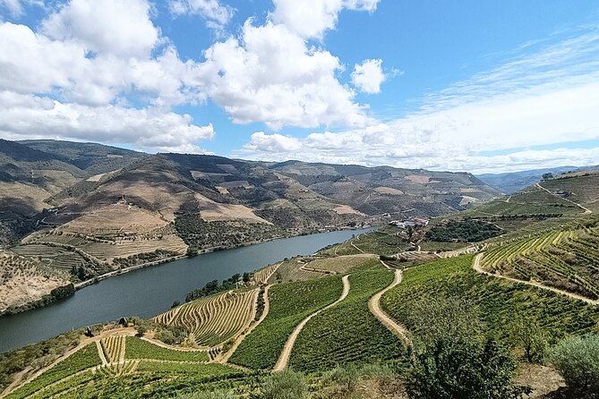 Douro Valley Private Tour - Casal de Loivos and the family winery