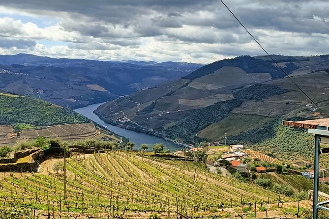 Douro Valley Private Tour - Pedro’s role as a private guide