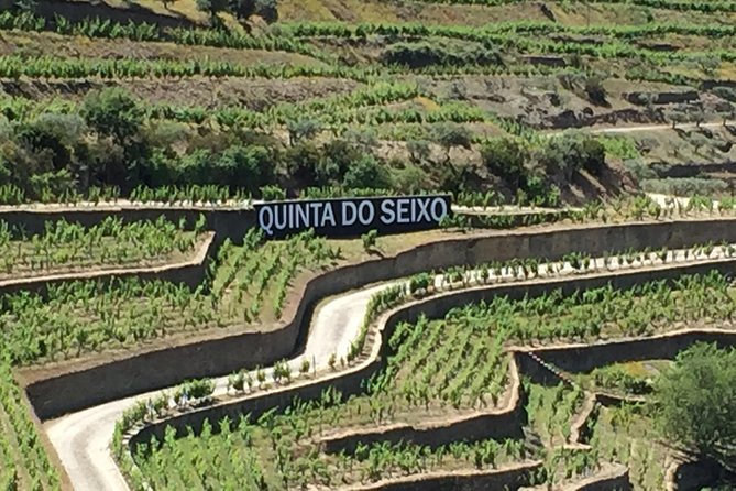 Douro Valley Private Tour from Oporto - Two hours at Quinta do Tedo