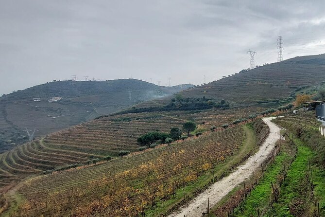 Douro Valley private tour full day - Is $260.24 per person good value?