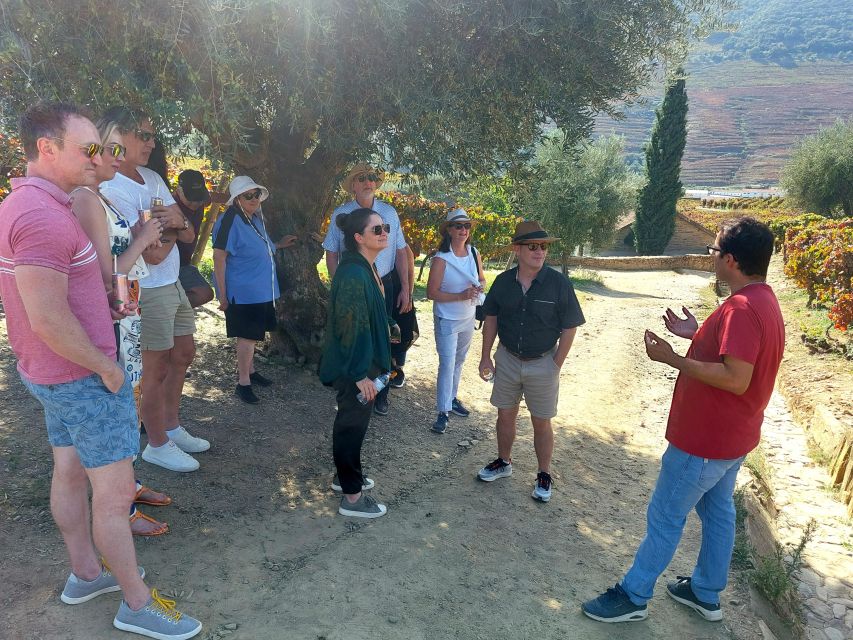 Douro Valley private tour & wine experience including lunch - The road into the Douro Valley