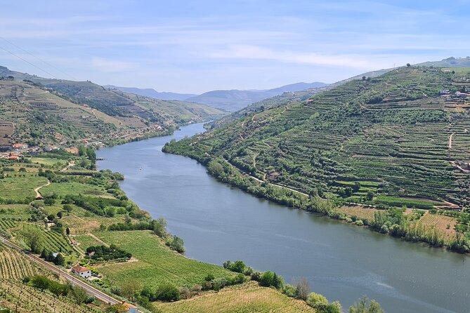 Douro Valley Private Tour (winery + boat + viewpoint) - Why this short Douro Valley tour works