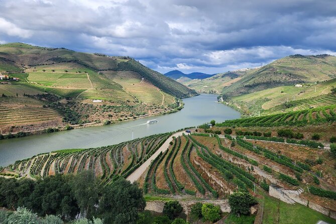 Douro Valley Private Tour (winery + boat + viewpoint) - Looking across the valley from a viewpoint