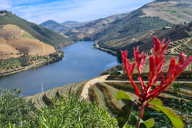 Douro Valley Private Tour (winery + boat + viewpoint) - What the private vehicle adds