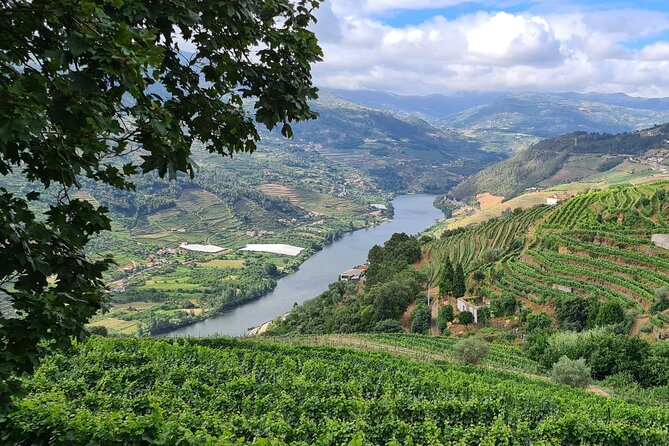 Douro Valley Private Tour (winery + boat + viewpoint) - Time, food, and the right pace