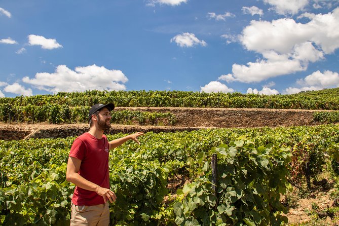 Douro Valley: private tour with lunch and wine estate all inclusive - Amarante and the Tâmega River