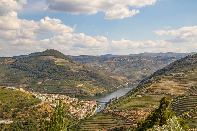 Douro Valley: private tour with lunch and wine estate all inclusive - What the $260.12 price really covers