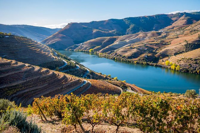Douro Valley: private tour with lunch and wine estate all inclusive - São Leonardo da Galafura at 640 meters