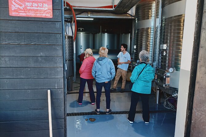 Douro Valley Private Tour with Sommelier - Viewpoints Across the Douro Valley