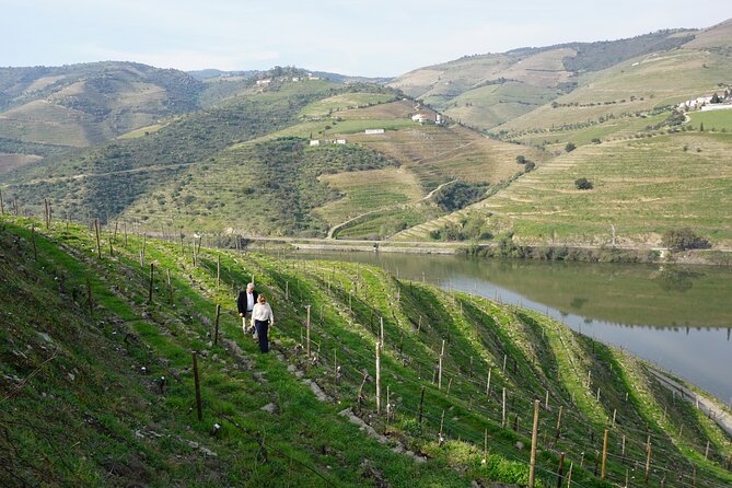 Douro Valley private tour with wine tasting and boat tour - Pinhão Railway Station and its 3,047 tiles