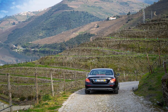 Douro Valley private tour with wine tasting and boat tour - What the $449.51 price really buys