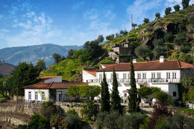 Douro Valley private tour with wine tasting and boat tour - A private guide makes the long day easier