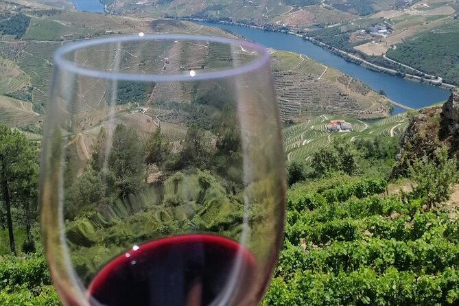 Douro Valley — Private UNESCO Wine & Cultural Experience - Visiting the Douro quintas and tasting wine