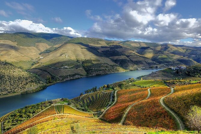 Douro Valley — Private UNESCO Wine & Cultural Experience - Is $583.99 per person a fair price?
