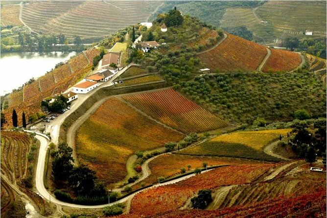 Douro Valley — Private UNESCO Wine & Cultural Experience - How long the day feels
